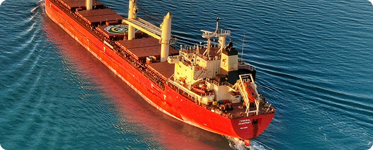 Mag-S production facility